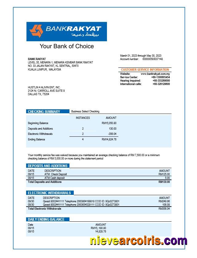 Bank Rakyat enterprise account statement